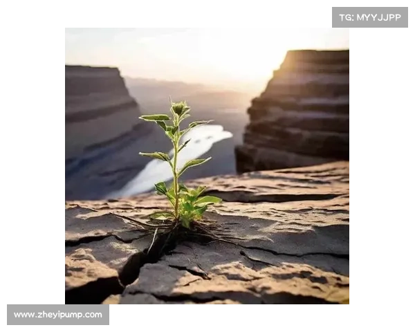 敌人逆袭的心态与策略解析从逆境中崛起的智慧与力量 敌人逆袭的心态与策略解析从逆境中崛起的智慧与力量